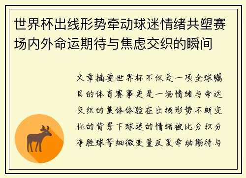 世界杯出线形势牵动球迷情绪共塑赛场内外命运期待与焦虑交织的瞬间